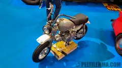 cms25_honda_monkey