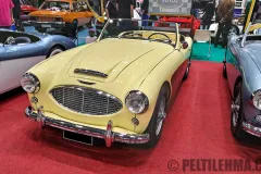 cms25_austin-healey_01