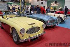 cms25_austin-healey_02