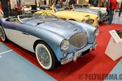 cms25_austin-healey_b1_100_1954_02