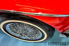 cms25_mgb_01_vanne