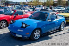 cms26_IMG_9121