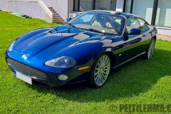 sp25_sport25_jagua_04