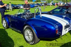 sp25_sport25_shelby_cobra_01